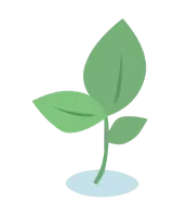 Salad Icon