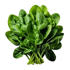 Spinach