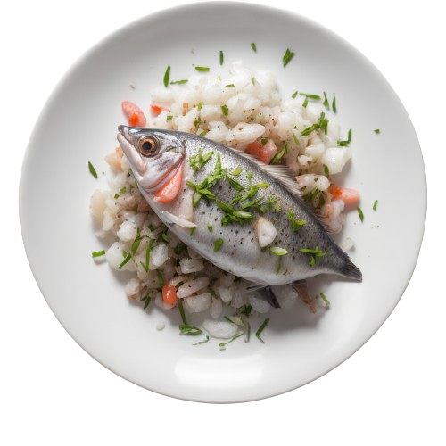 Alaskan pollock fish