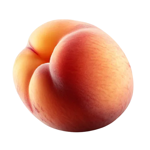 Apricot