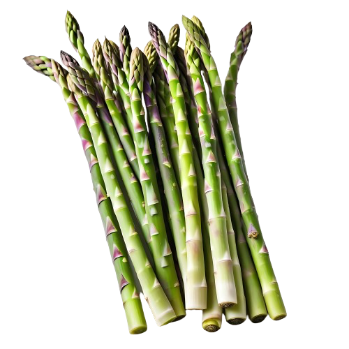 Asparagus