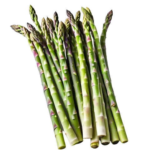 Asparagus