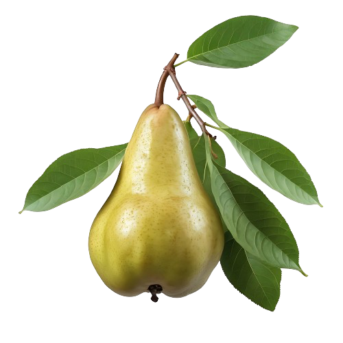 Balsam-Pear