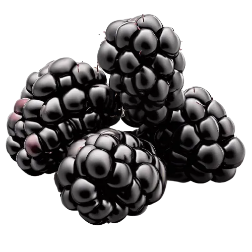 Berries