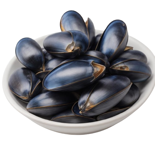 Blue mussel
