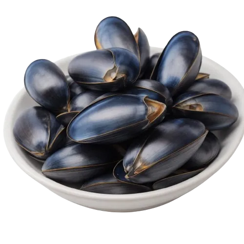 Blue mussel