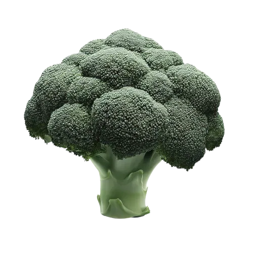 Broccoli