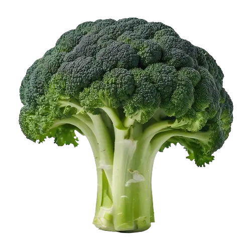 Broccoli Stalks