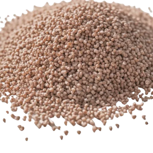 Buckwheat