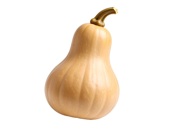 Butternut squash