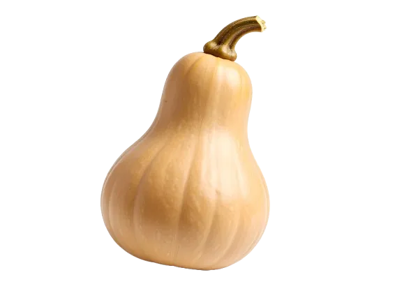 Butternut squash