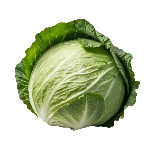 Cabbage
