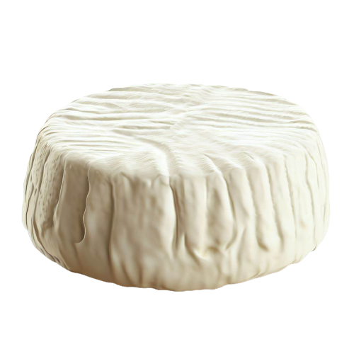 Camembert Cheese
