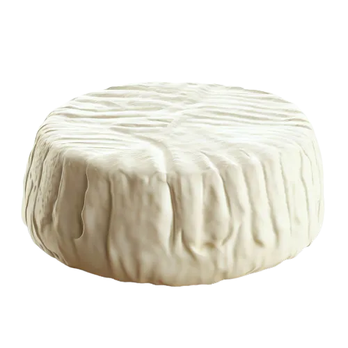 Camembert Cheese