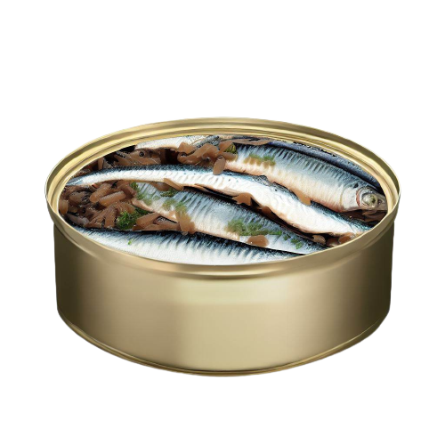 Canned Anchovy