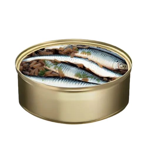 Canned Anchovy