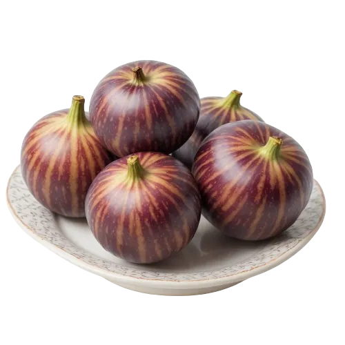 Canned Fig
