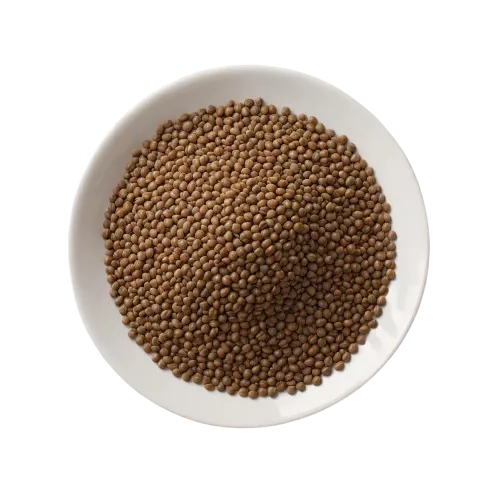Canned lentils