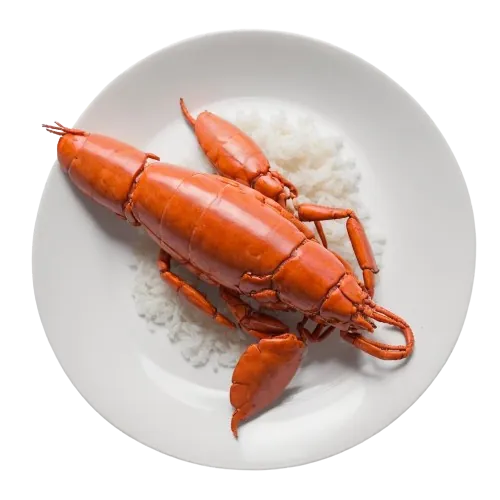 Canned lobster