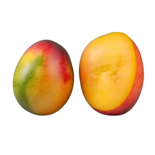 Canned Mango