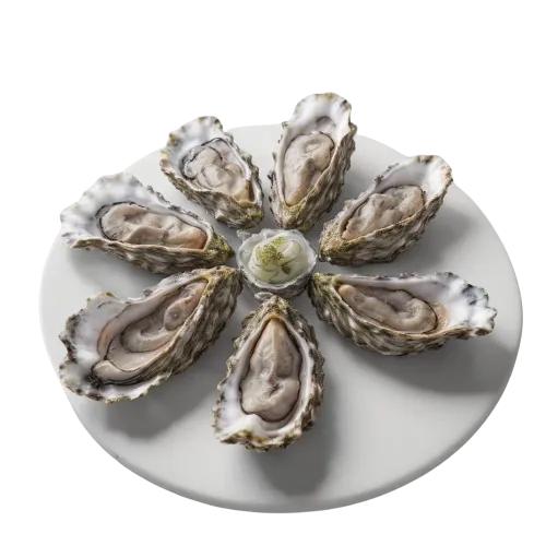 Canned Oysters