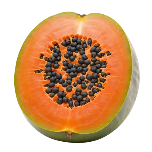 Canned Papaya