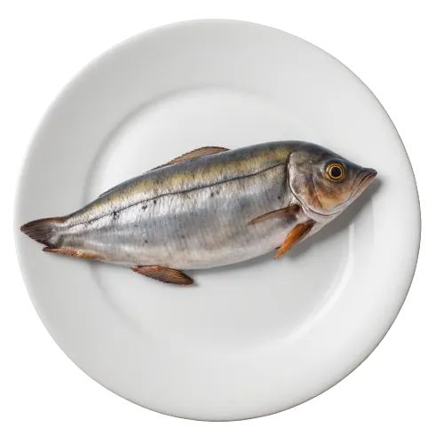 Canned sardine