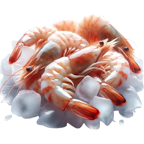 Canned shrimp