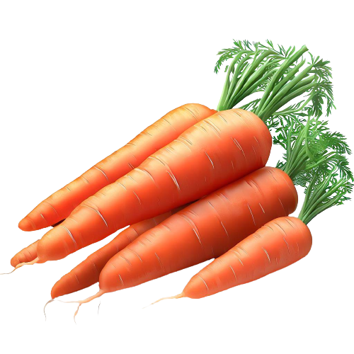 Carrot Salad