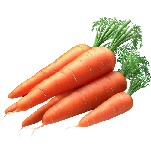 Carrot Salad