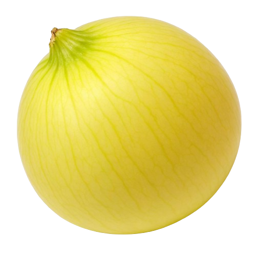 Casaba melon