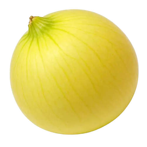 Casaba melon