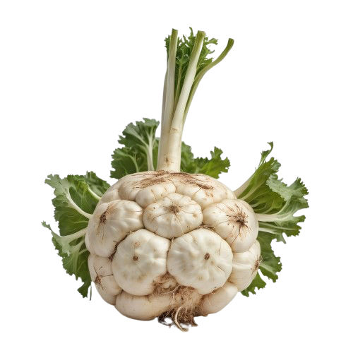 Celeriac