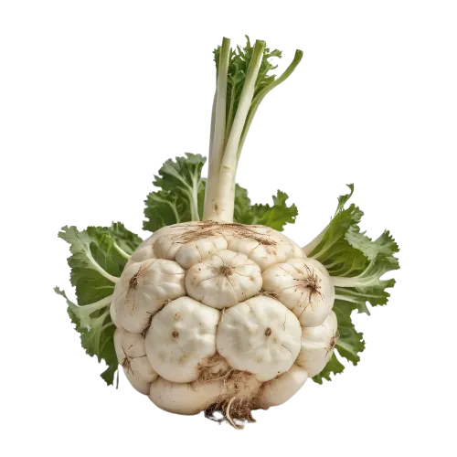 Celeriac