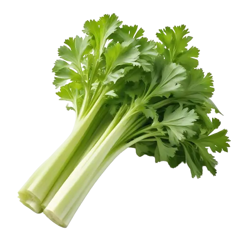 Celery
