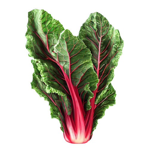 Chard