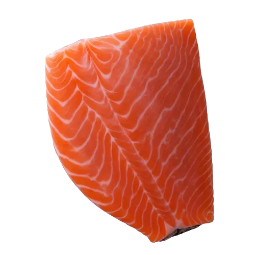 Chinook king salmon fish