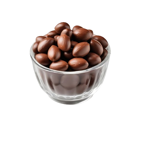 Chocolate Covered Almonds