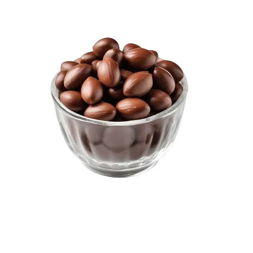 Chocolate Covered Almonds