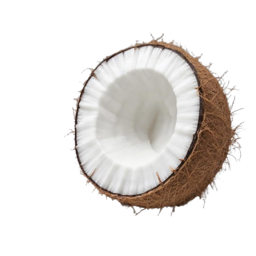 Coconut meat