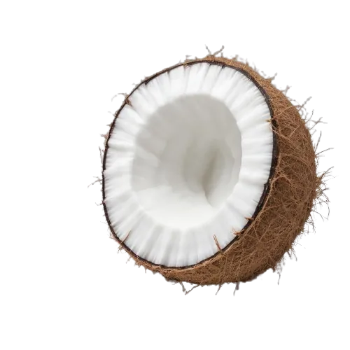 Coconut meat