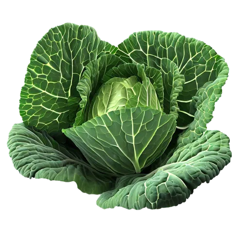 Collards