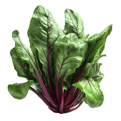 Cooked Beet Greens