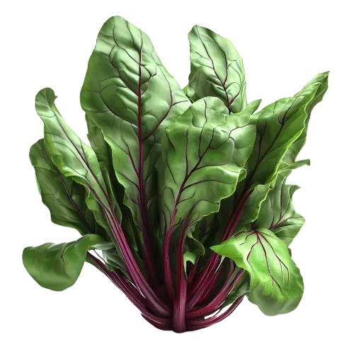 Cooked Beet Greens