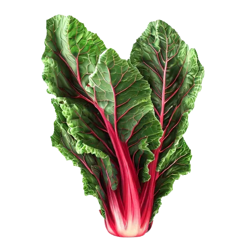 Cooked Chard