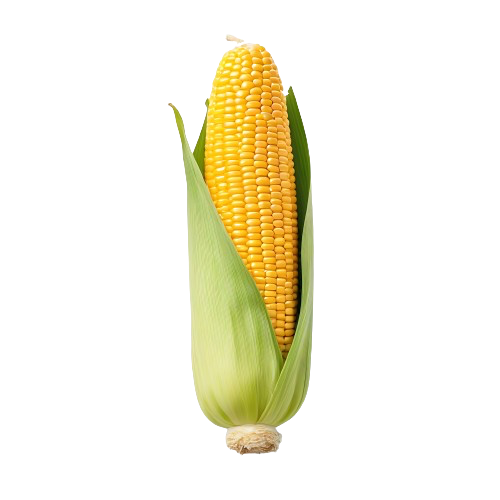 Cooked corn