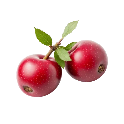 crabapples