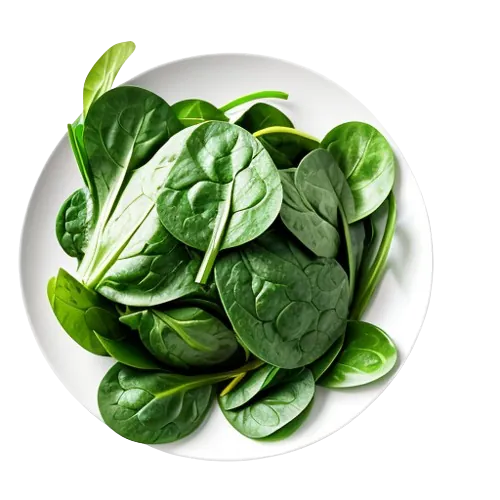 Creamed spinach