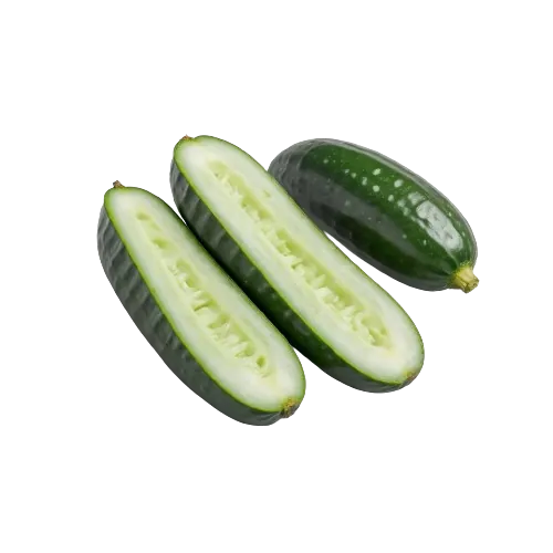 Cucumber