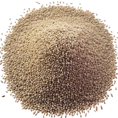Cumin Seed